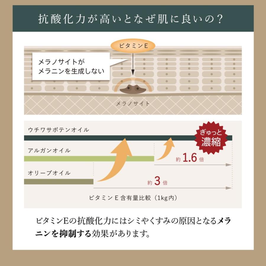 ウチワサボテン種子オイルのみを100%使用した、効果の高いオイル（香りづけなし）CACTIシードオイル100 |  | 08