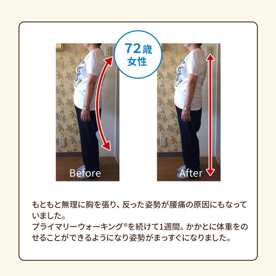 プライマリーウォーキング(R) インソール 姿勢矯正 立ち方 矯正 整体師