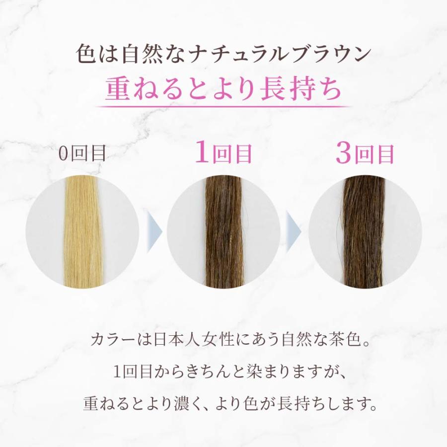 白髪染め トリートメント 髪萌 カラーアップ ヘアカラー 3本セット