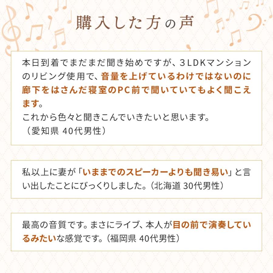 波動スピーカー RS0802 （M'S System エムズシステム スピーカー）送料