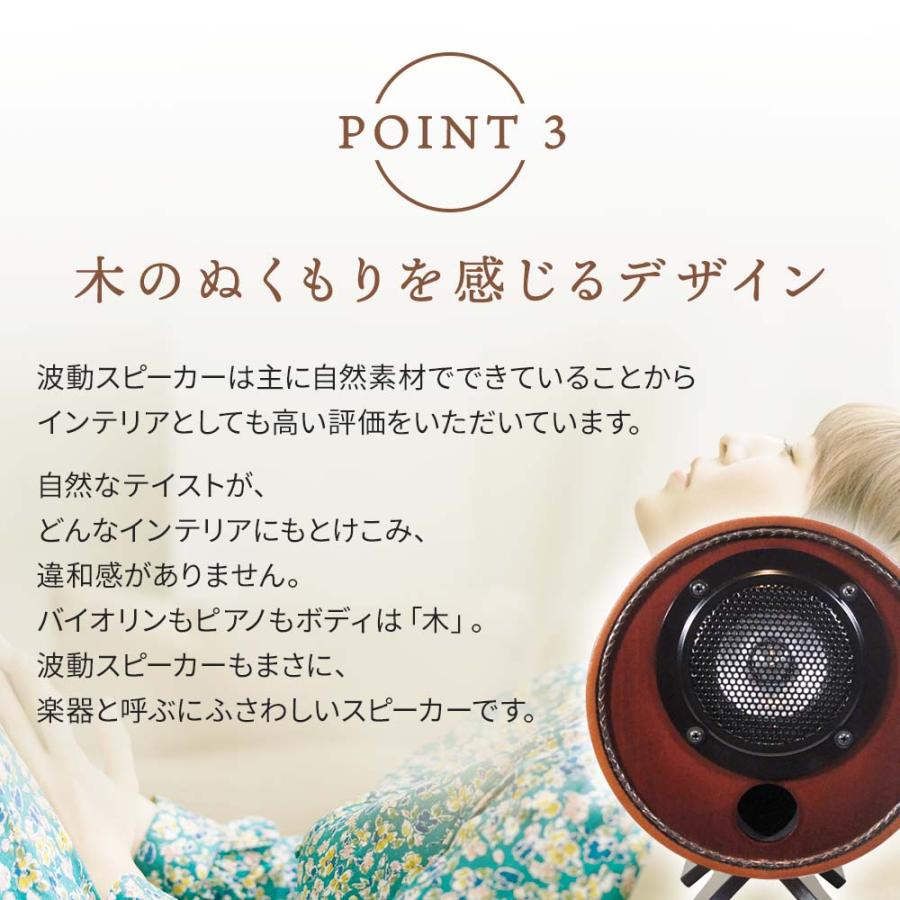 波動スピーカー RS0802 （M'S System エムズシステム スピーカー