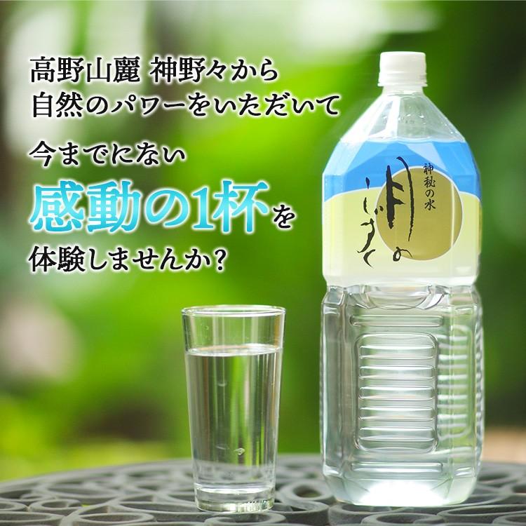 お一人様一回限り 初めての方限定 月のしずく 水 2L×2本 お試しセット