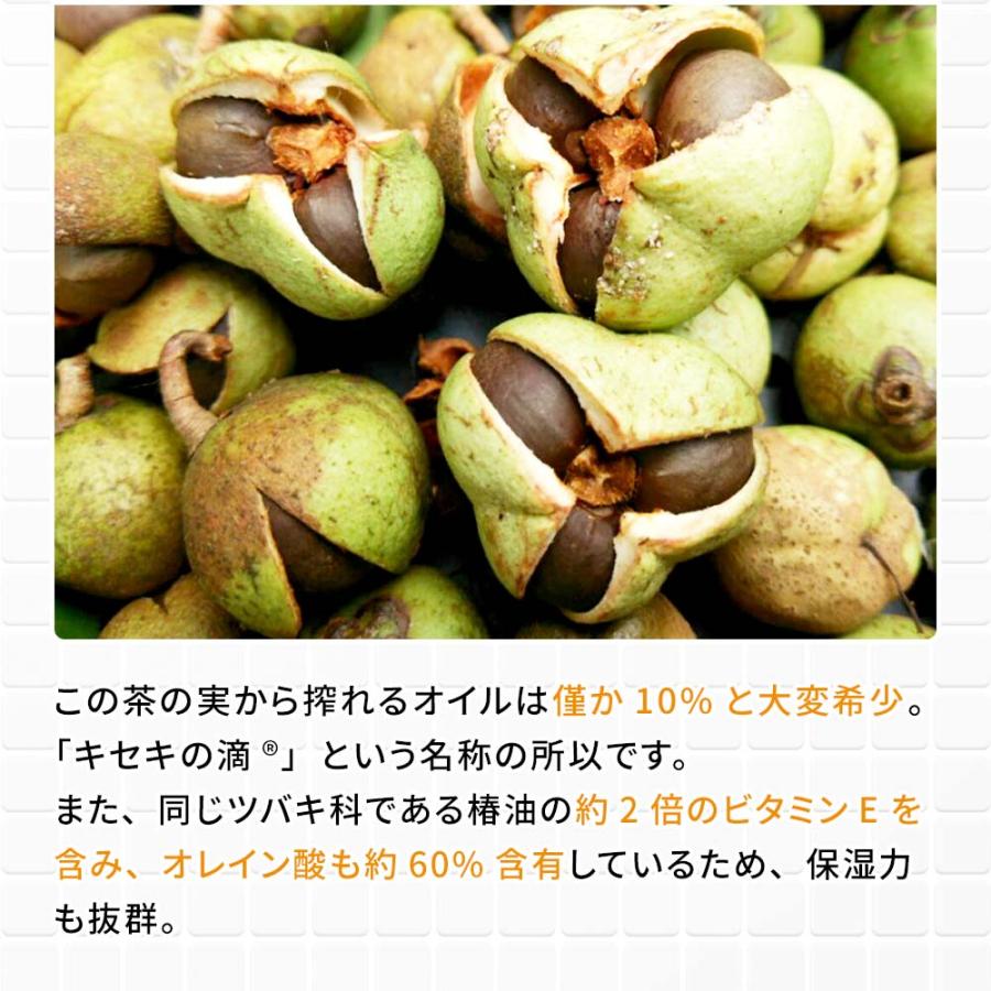 月のしずく 茶の実オイルインローション 茶の実オイルインジェル セット 月のしずく 茶の実オイルインローション : イマココ・ストア