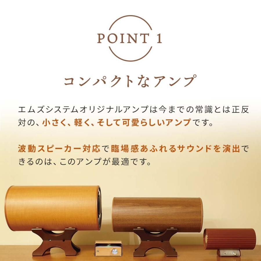 波動スピーカーウォームアンプ W-Amp12 MS1001シリーズ対応 （M'S