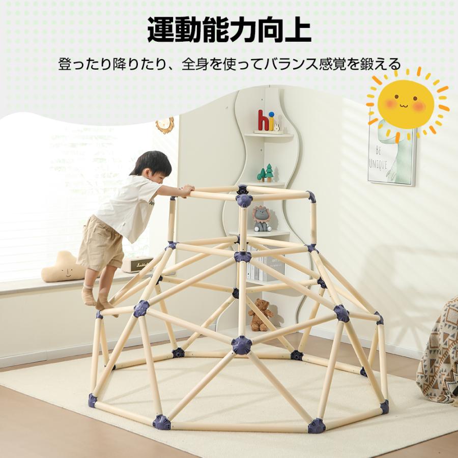 PROBASTO ジャングルジム 室内 耐荷重120kg 子供 バランス 筋力 体幹 トレーニング 遊具 大型遊具 室内遊具 おもちゃ おうち遊び 保育園 屋外 ギフト プレゼント |  | 09