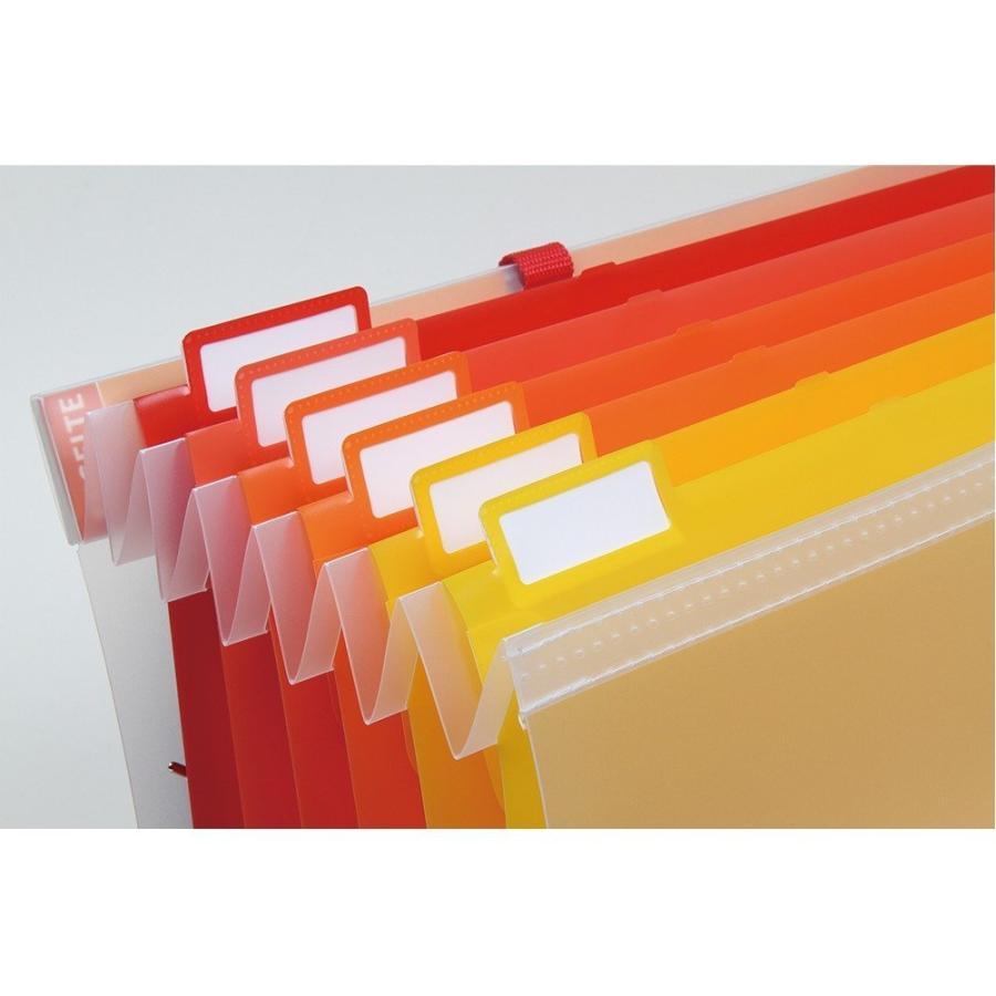 Esselte エセルテソーテッド　A4/6段　ウォーム　22341 | エセルテ | 03