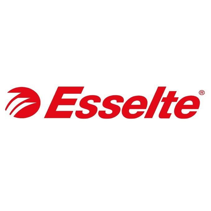 エセルテ（Esselte） レバーアーチファイル75mm/A4/ブルー【まとめ買い