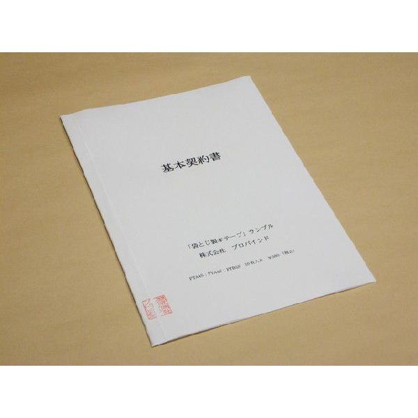 FTA4E　袋とじ製本テープ　A4短辺用（210ｍｍ対応）　10枚入り |  | 02