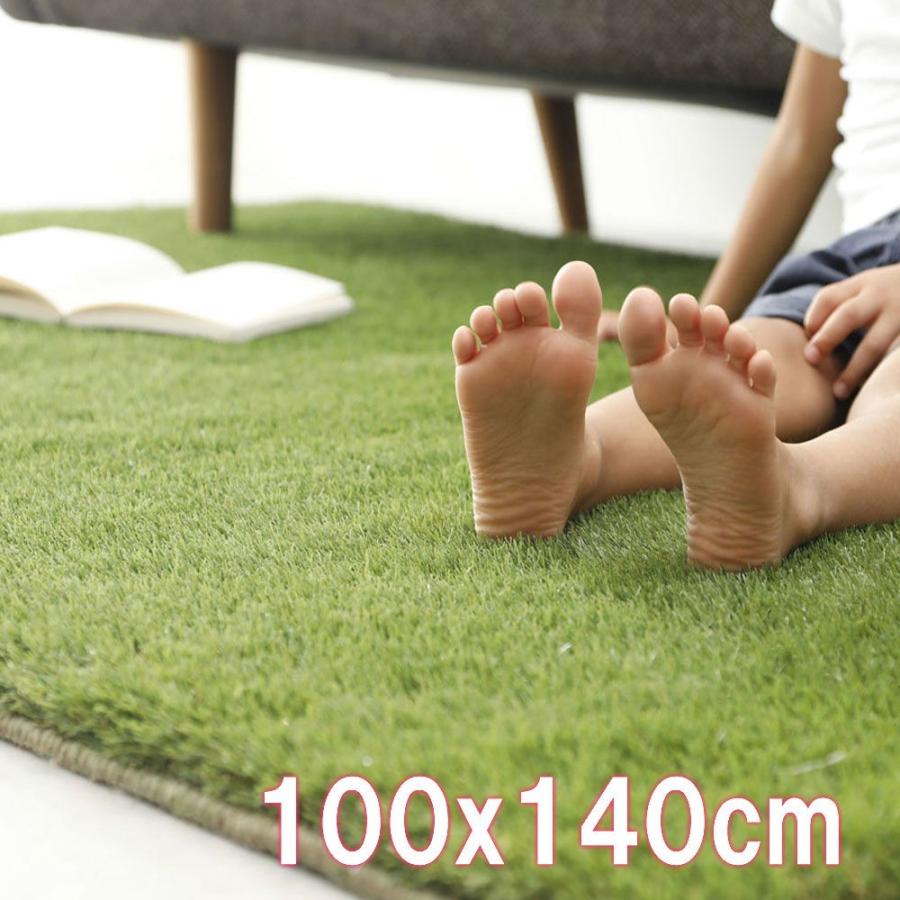 人工芝 室内用 防音 防炎 洗える 家芝100x140cm お洒落ラグ ルームマット Utisiba 100 プロのすすめるカーペット屋 通販 Yahoo ショッピング