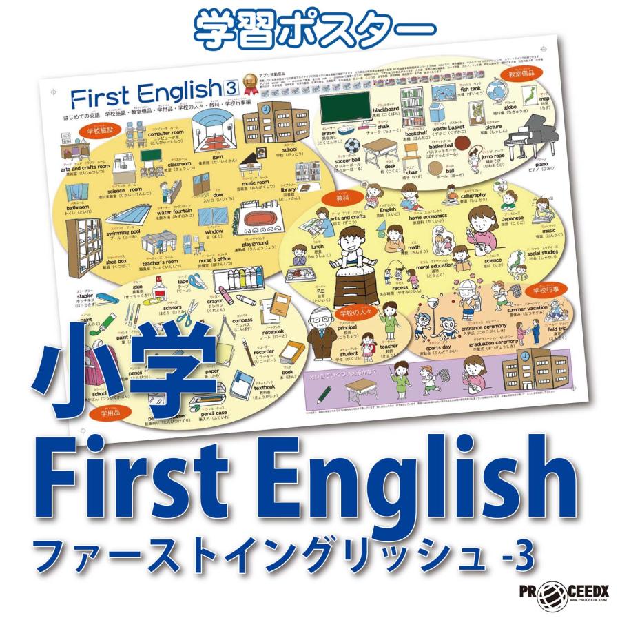 proceedx　学習ポスター　0010　First Englishファーストイングリッシュ-3　　送料無料　折り目無し送付　小学生　幼児 | 