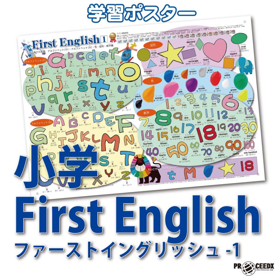 proceedx　学習ポスター　0055　First Englishファーストイングリッシュ-1　　送料無料　折り目無し送付　小学生　幼児 | 