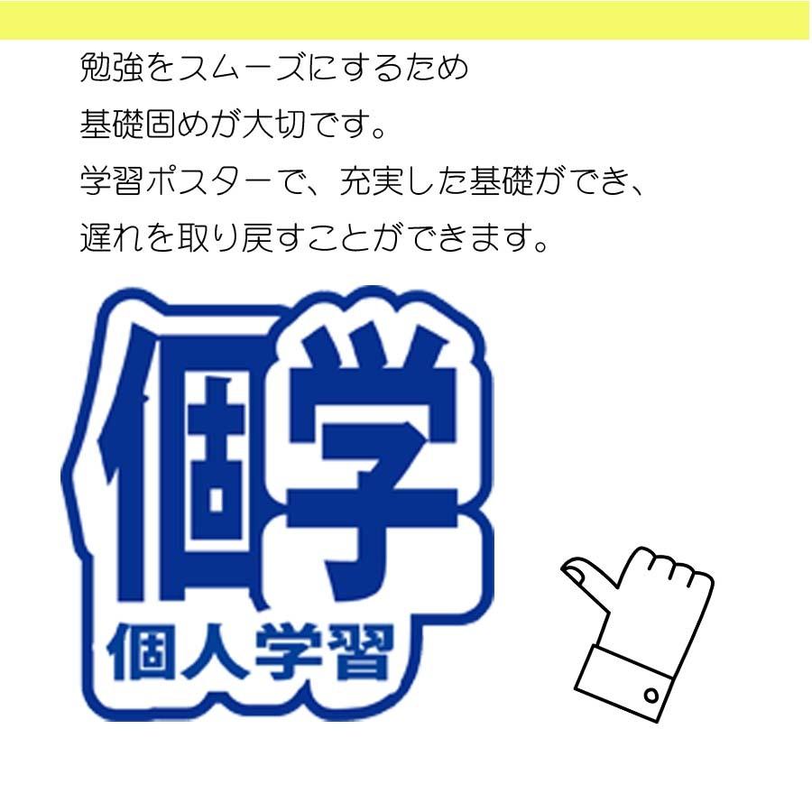 proceedx　学習ポスター0273月面図 送料無料　折り目無し送付　勉強部屋　教室　壁掛け　小学　中学　高校 |  | 05