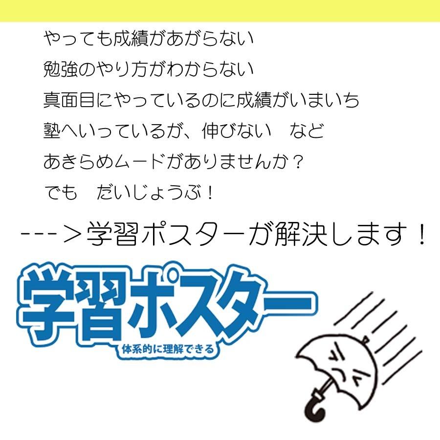 proceedx　学習ポスター0273月面図 送料無料　折り目無し送付　勉強部屋　教室　壁掛け　小学　中学　高校 |  | 04