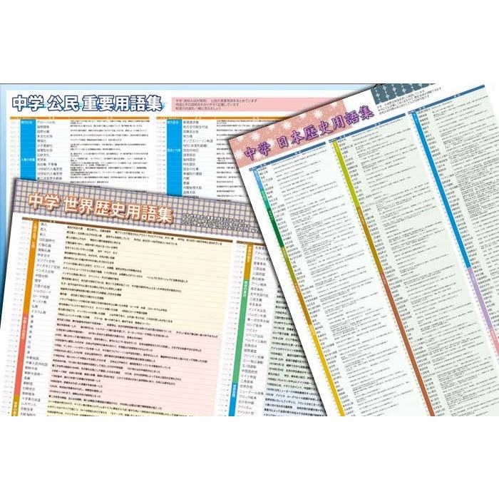 proceedx　学習ポスター　0982　学習中学社会3点セット　送料無料　勉強部屋　教室　壁掛け　中学 | 