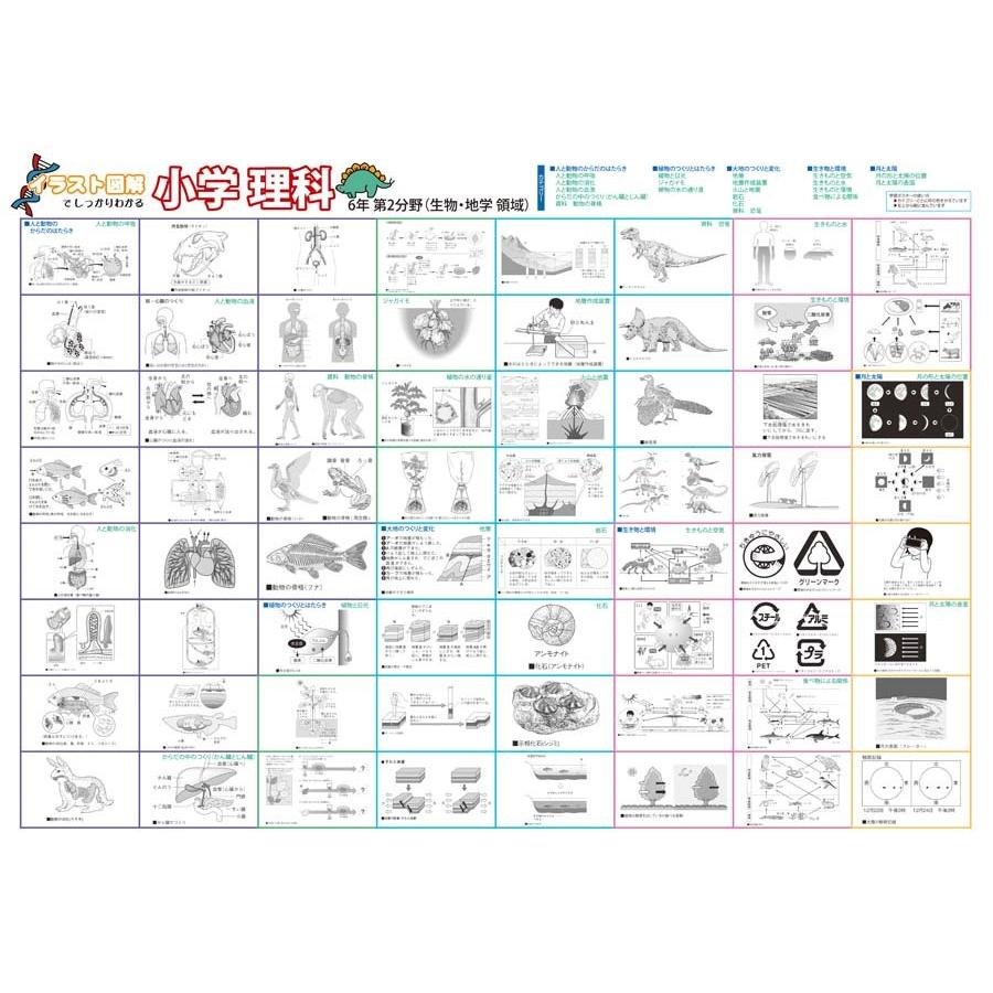 proceedx　学習ポスター　0984　学習小学理科４点セット　送料無料　勉強部屋　教室　壁掛け　小学 |  | 03
