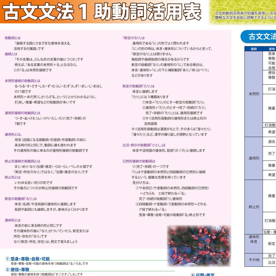 proceedx　学習ポスター　10043　古文　文法1　助動詞活用表　送料無料　　勉強部屋　教室　壁掛け　中学　高校 |  | 08