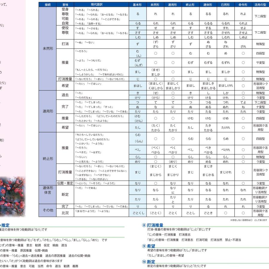 proceedx　学習ポスター　10043　古文　文法1　助動詞活用表　送料無料　　勉強部屋　教室　壁掛け　中学　高校 |  | 09