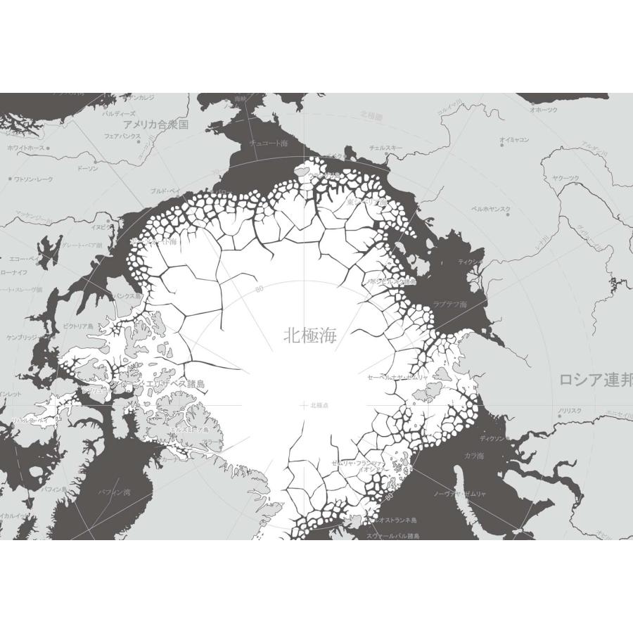 PROCEEDX美しい世界地図　北極　学習ポスターミニマルマップ　フレーム付きA4サイズ日本製1250 |  | 01