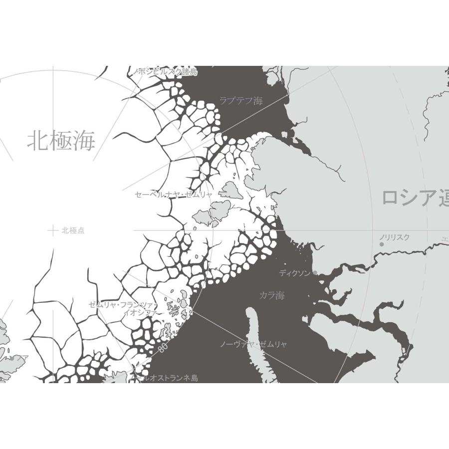 PROCEEDX美しい世界地図　北極　学習ポスター　ミニマルマップ　フレーム付きA2サイズ　日本製1260 |  | 01
