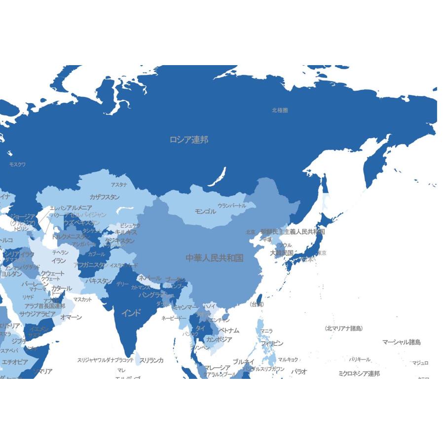 PROCEEDX美しい世界地図　パステルカラーブルー1　学習ポスターミニマルマップ　フレーム付きA2サイズ日本製1265 |  | 02