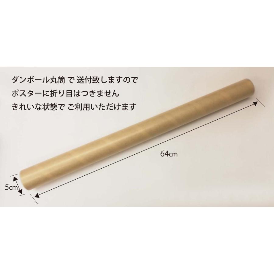 PROCEEDX美しい日本+世界地図セット ブラック2学習ポスターミニマルマップA2、A1ビッグサイズ日本製　折り目なし送付 影付き1307 |  | 06