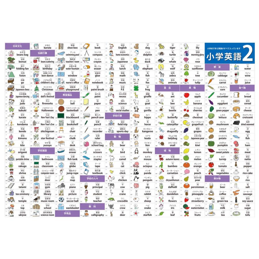 proceedx学習ポスター 小学英語かんぺき特別セット　Ａ2サイズ　5点　折り目無し送付　日本製 |  | 04