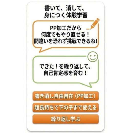 モンテッソーリ 学習ポスター 季節 A4サイズ 書き消し対応 PP加工 日本製PROCEEDX1518 |  | 07