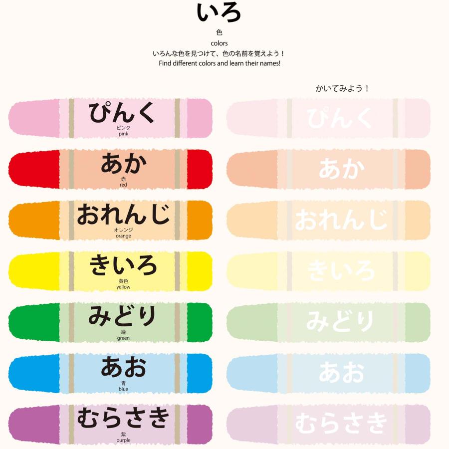 PROCEEDXよくわかる モッテソーリ<12点セット>PP加工 学習ポスター A4サイズ 日本製 送料無料 pro-1524 |  | 01