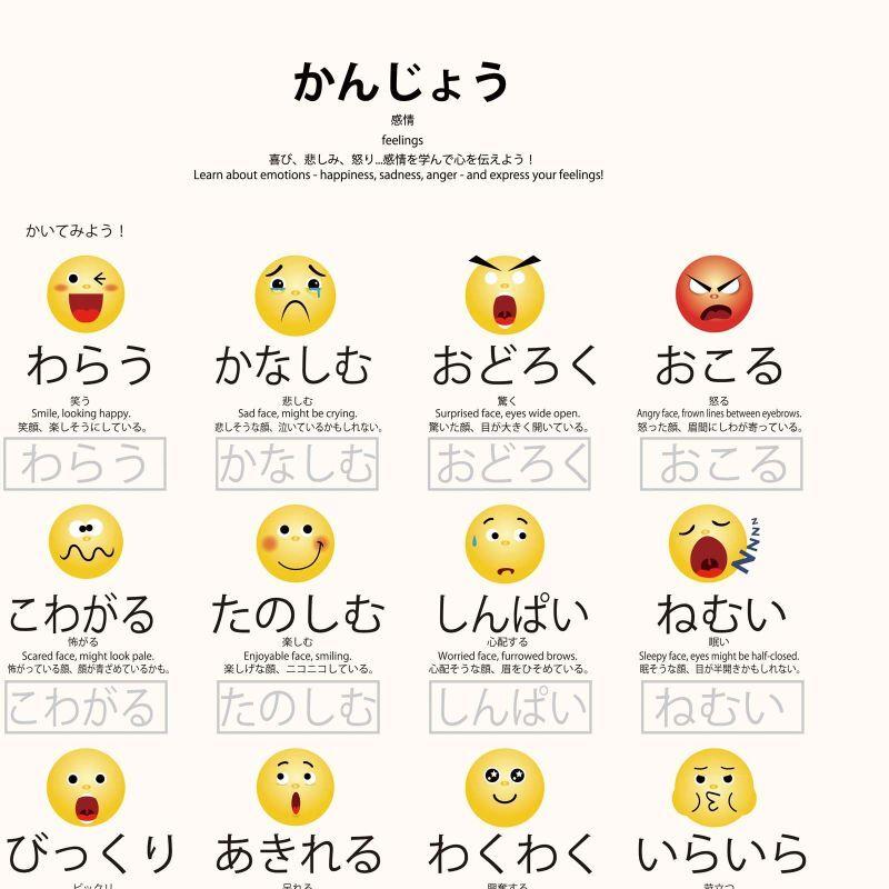 PROCEEDXよくわかる モッテソーリ<14点セット>ブラックverPP加工 学習ポスター A4・A3サイズ 日本製 送料無料 pro-1525 |  | 20