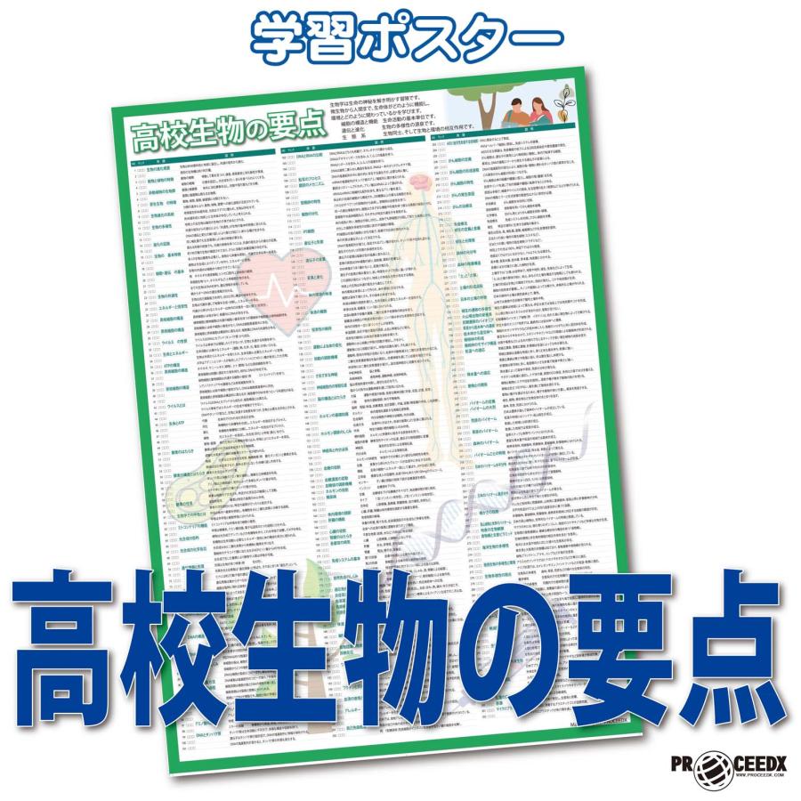 proceedx 学習ポスター1572高校生物の要点　勉強部屋　教室　壁貼り　学習　大学受験　送料無料　 | 