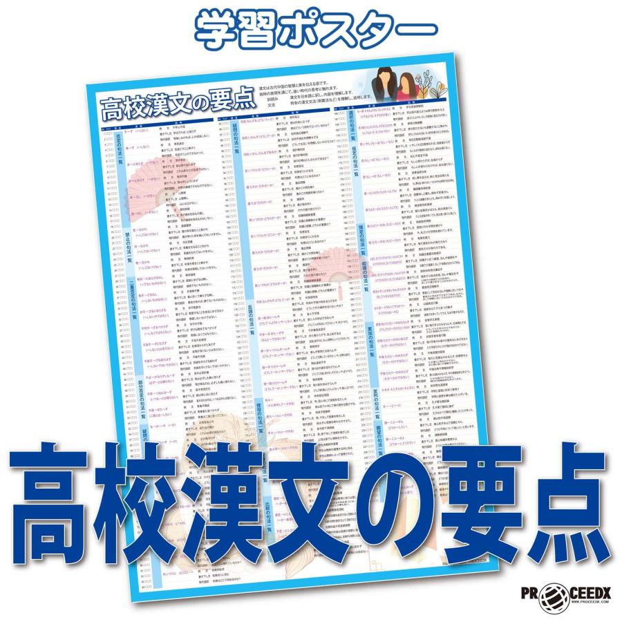 proceedx 学習ポスター1574高校漢文の要点　勉強部屋　教室　壁貼り　学習　大学受験　送料無料　 | 
