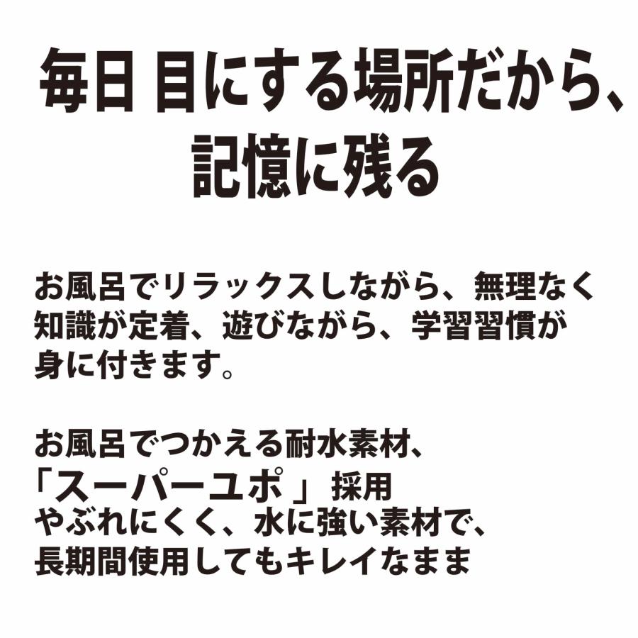 PROCEEDXお風呂ポスター世界がまるごと見える！国旗・都市・名所をローマ字つきで学べる地球ポスター小学校低学年〜中学生向け A2サイズ 日本製 |  | 05