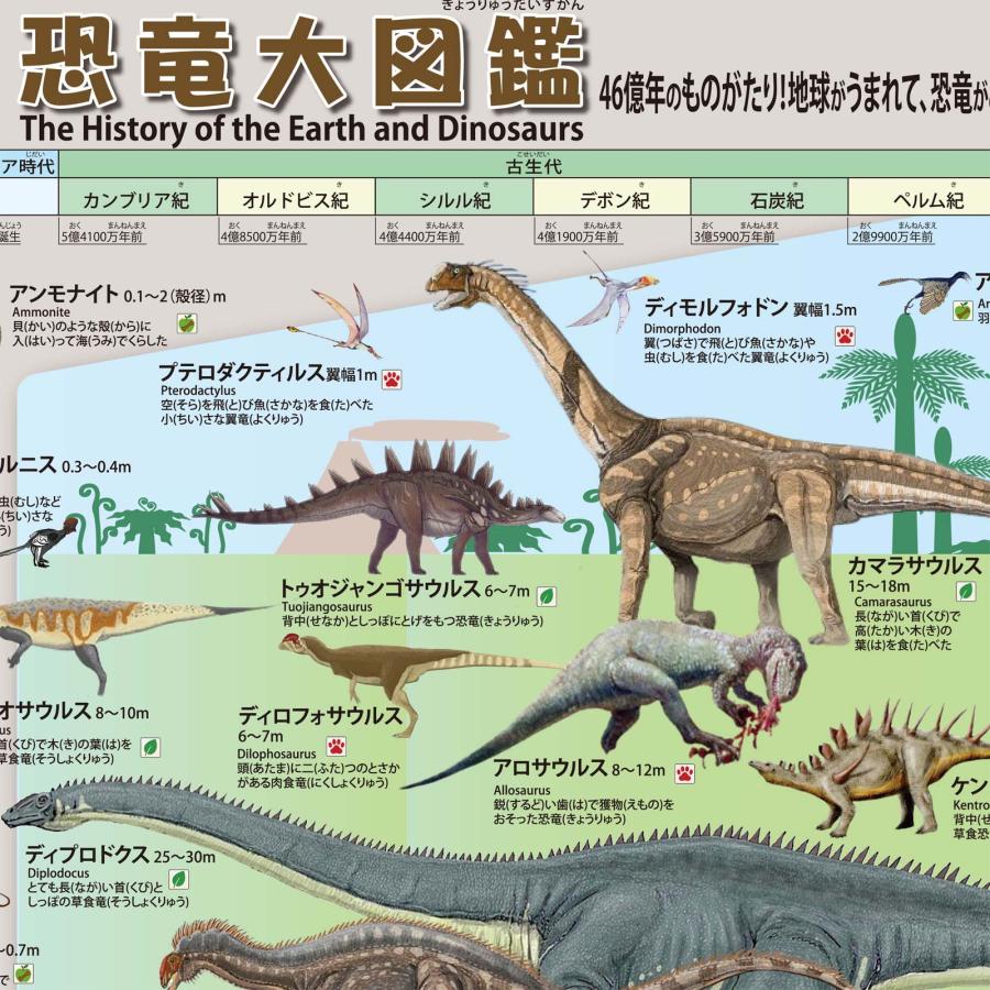 お風呂ポスター 3点セット（恐竜の世界図鑑＋日本地図＋世界地図）A2　地理と理科が好きになる 学習ポスター 防水 知育 日本製 送料無料 PROCEEDX1584 |  | 04