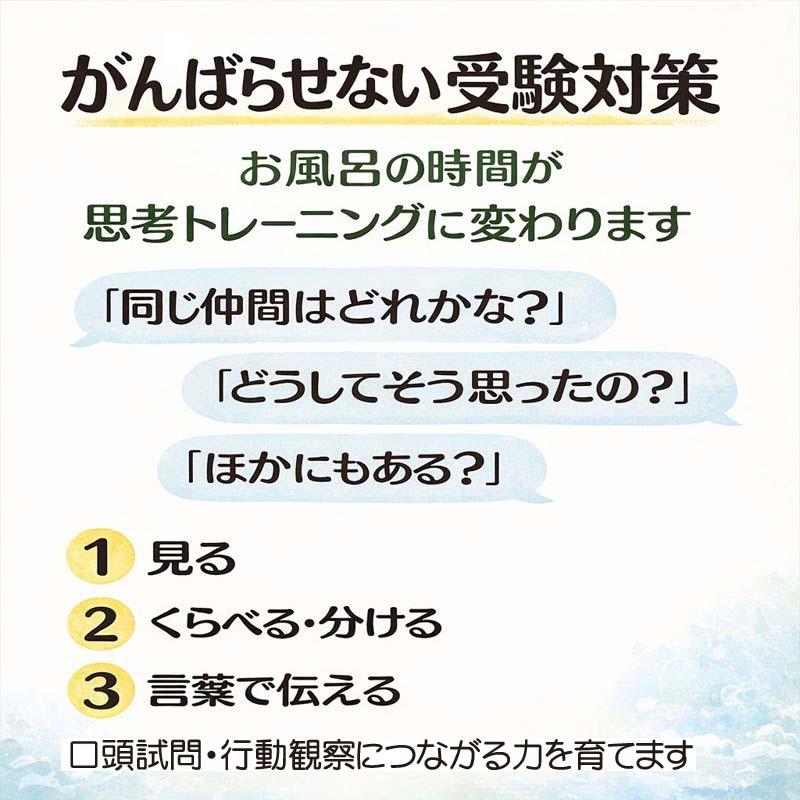 小学校受験対応 まちのしごとずかん お風呂ポスターA4サイズ｜幼児知育・職業・防水 |  | 02