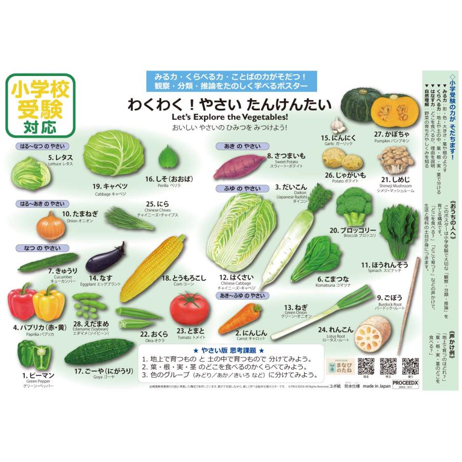 小学校受験対応 お風呂ポスターA4サイズ｜幼児知育・のりもの・仕事・野菜・フルーツ　4点セット　防水　proceedx1607 |  | 13