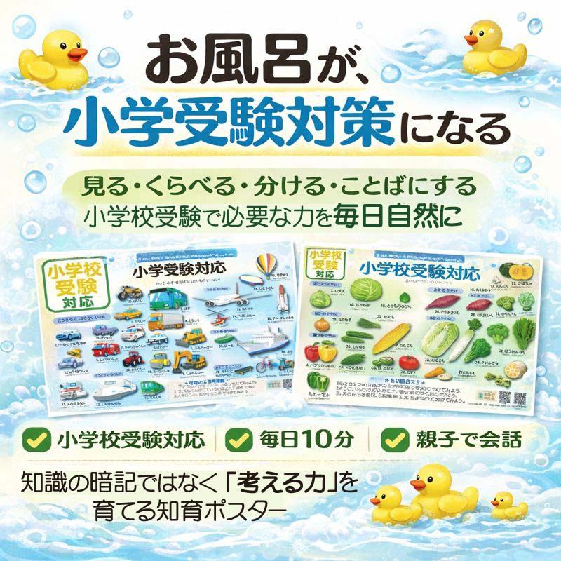 小学校受験対応 お風呂ポスターA4サイズ｜幼児知育・のりもの・仕事・野菜・フルーツ　4点セット　防水　proceedx1607 |  | 01
