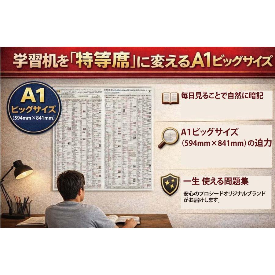 PROCEEDX【歴史の全貌を掴む】日本史年表＋世界史年表 2枚セットA1