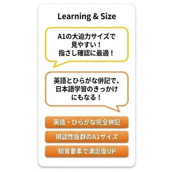 PROCEEDX書き消しできる 日本＋世界地図各２枚セットポスター A1サイズ（ひらがな・英語併記）PP加工済 丈夫で長持ち 日本語学習 観光ルート案内 掲示用 |  | 06