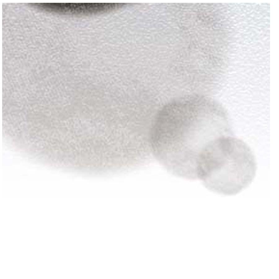 proceedx　名画 絵画ポスター　2005　北欧モダン05額フレーム付　送料無料　　アート |  | 04