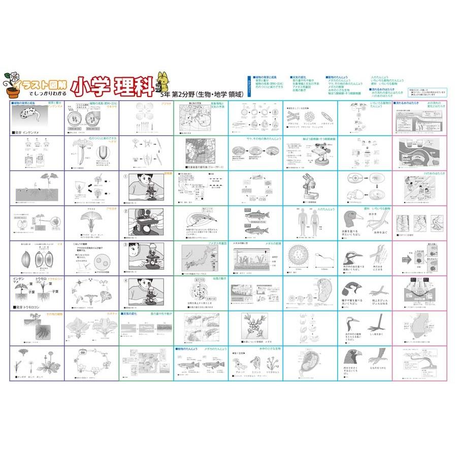proceedx学習ポスター pro-3011 福袋6 5枚セット 理科 １分野 ２分野 A2 小学 中学 高校 一般 日本製 |  | 01