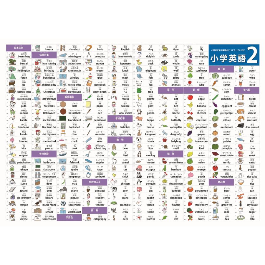 proceedx学習ポスター3035福袋15＜6枚セット＞小学英語３点　宇宙　恐竜　 月面 　A2サイズ　日本製　折り目なし送付 |  | 07