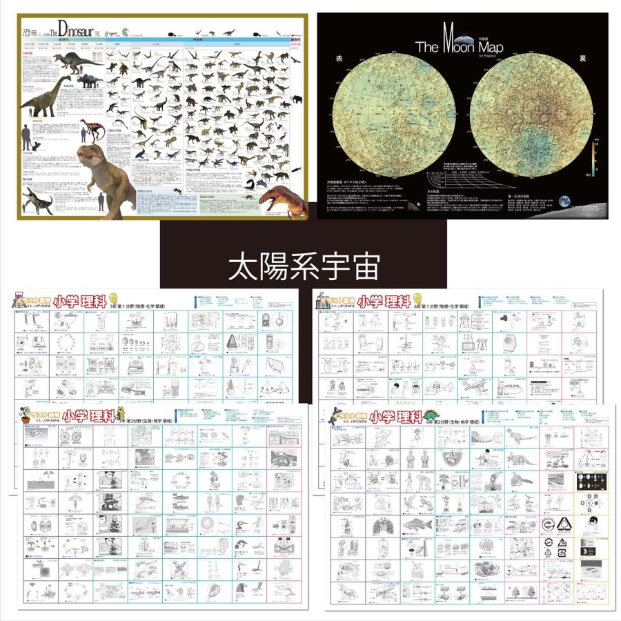proceedx学習ポスター3038福袋18＜7枚セット＞小学理科4点　宇宙　恐竜　 月面 　A2サイズ日本製　折り目なし送付 | 