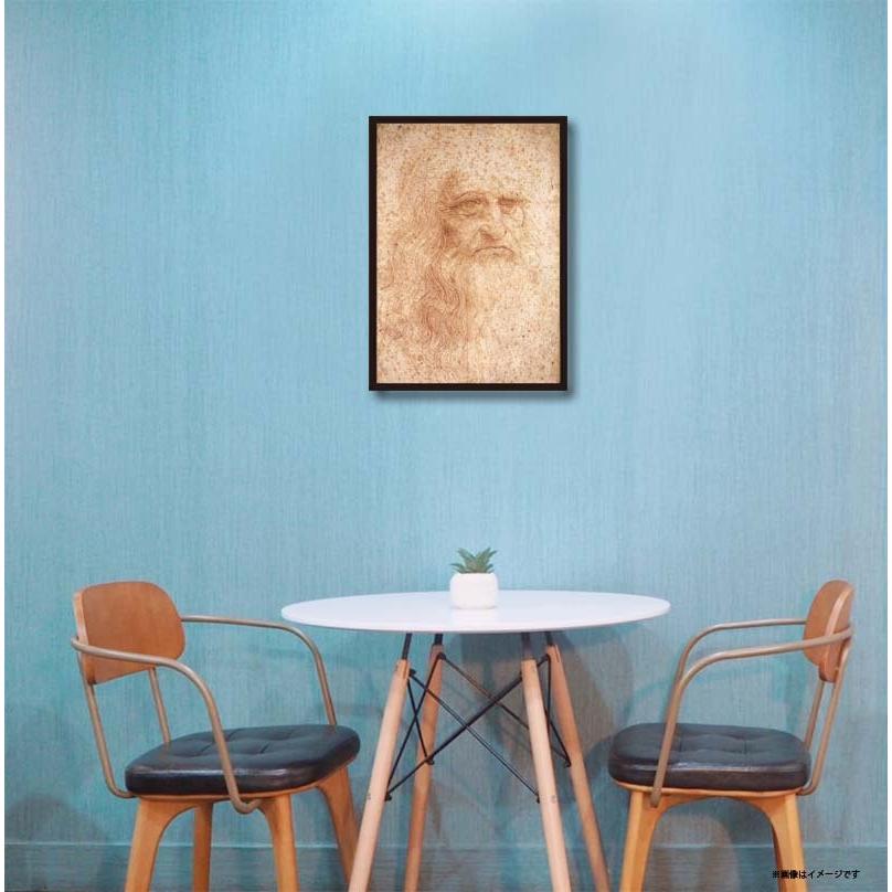 proceedx　名画 3124 絵画お値打ち２枚セット4　ダヴィンチ　A3サイズ　送料無料　　アート インテリア 安い　値打ち |  | 01