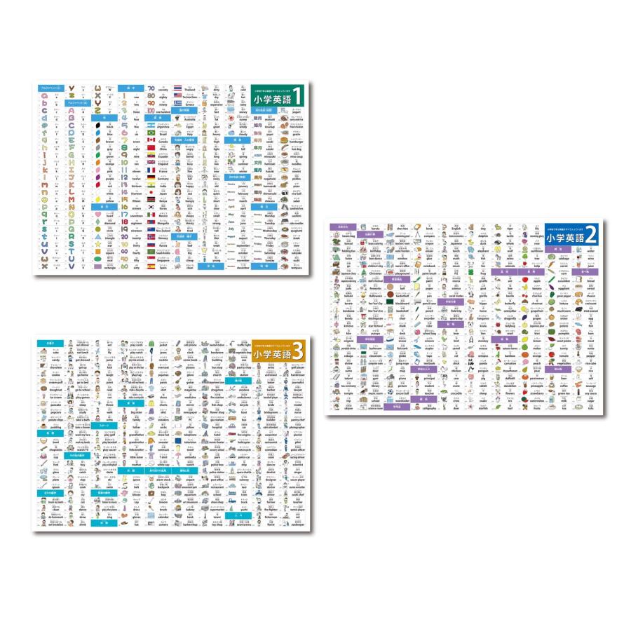 proceedx 3210小学生が英語を好きになる！お値打ち3枚セット 日本製 | 