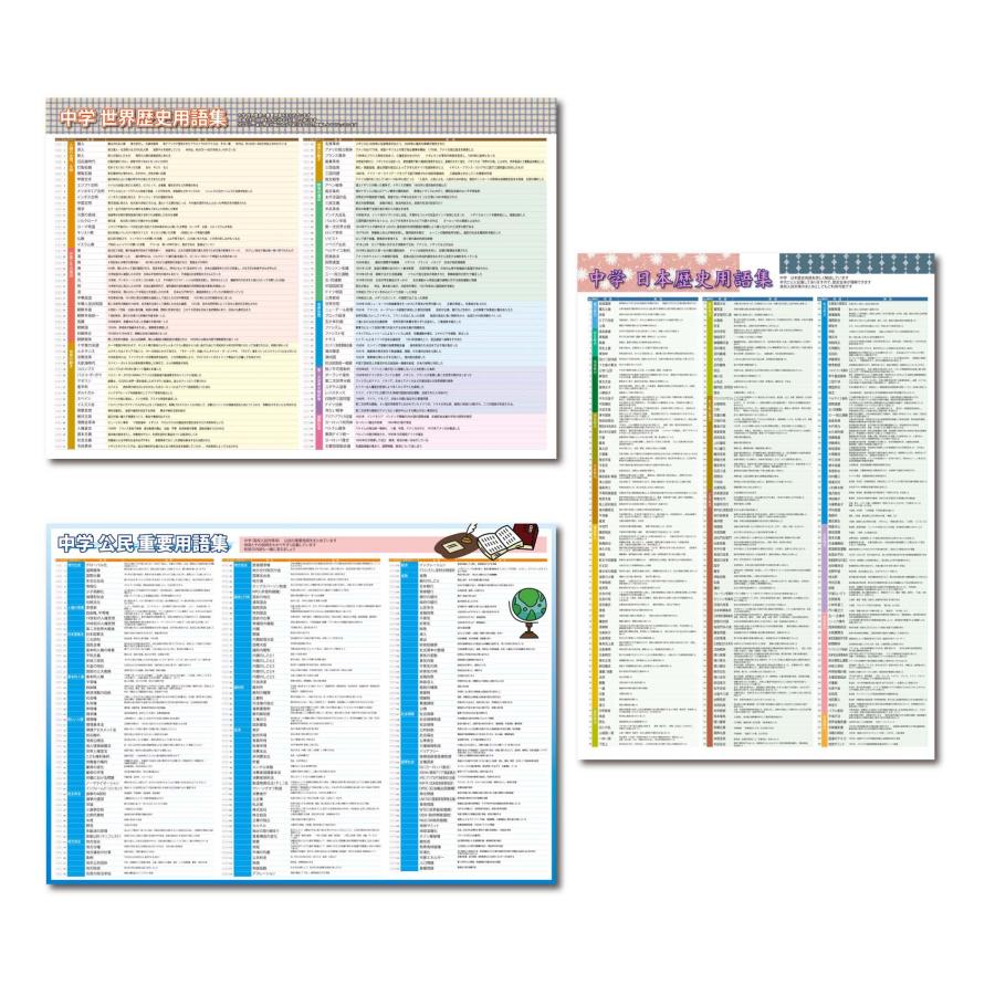 proceedx 3220中学生必見！歴史と公民を総復習！お値打ち3枚セット 日本製 | 