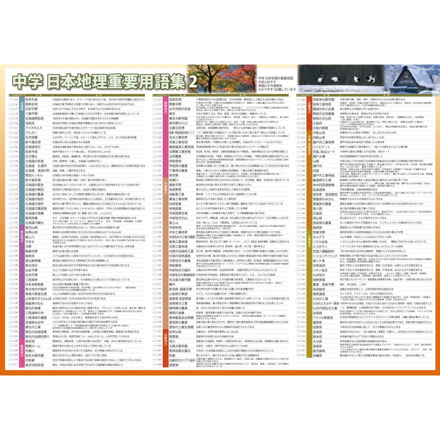 proceedx 3222地理の重要用語をしっかり習得！お値打ち3枚セット 日本製 |  | 06