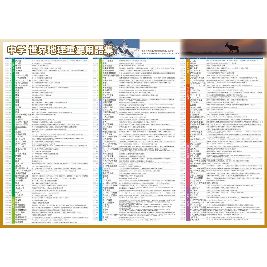 proceedx 3222地理の重要用語をしっかり習得！お値打ち3枚セット 日本製 |  | 07