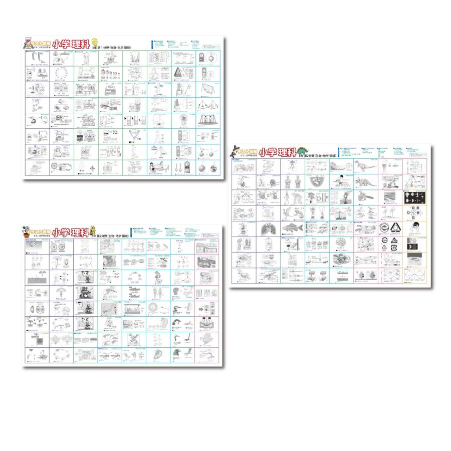 proceedx 3224小学理科で科学の楽しさを発見！お値打ち3枚セット 日本製 | 