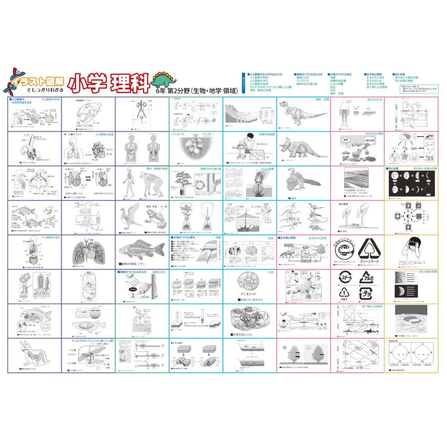 小学6年小学生の理科力アップ！イラストで学ぶ理科用語ポスター第1・第2分野2枚セット日本製　送料無料 PROCEEDX3284 |  | 02