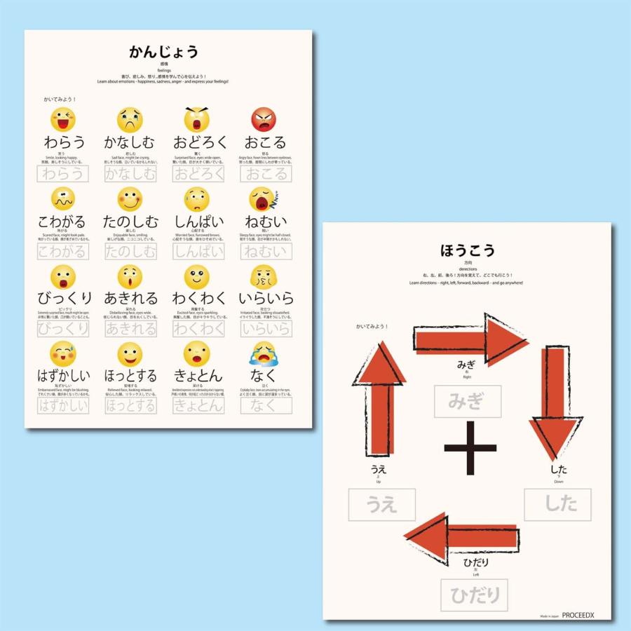 幼児知育18点フルセット｜モンテッソーリ式 書いて消せるPP加工＋小学校受験お風呂ポスターPROCEEDX3290 |  | 04